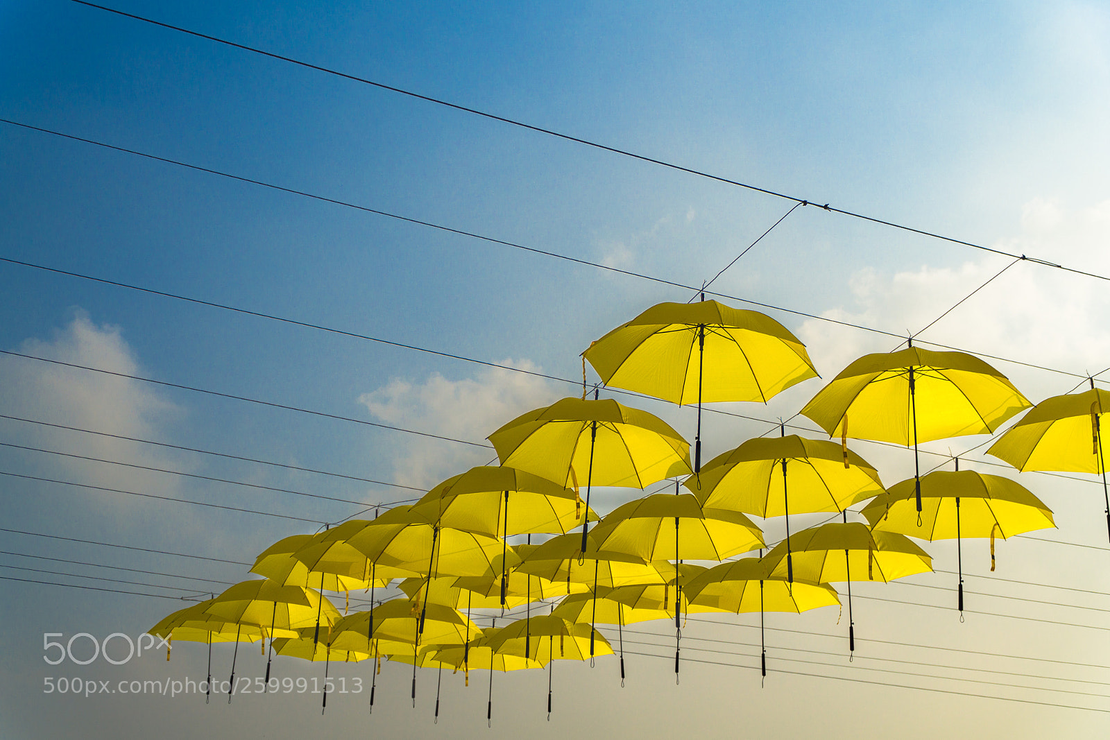 Sony a6000 sample photo. The yellow umbrellas photography