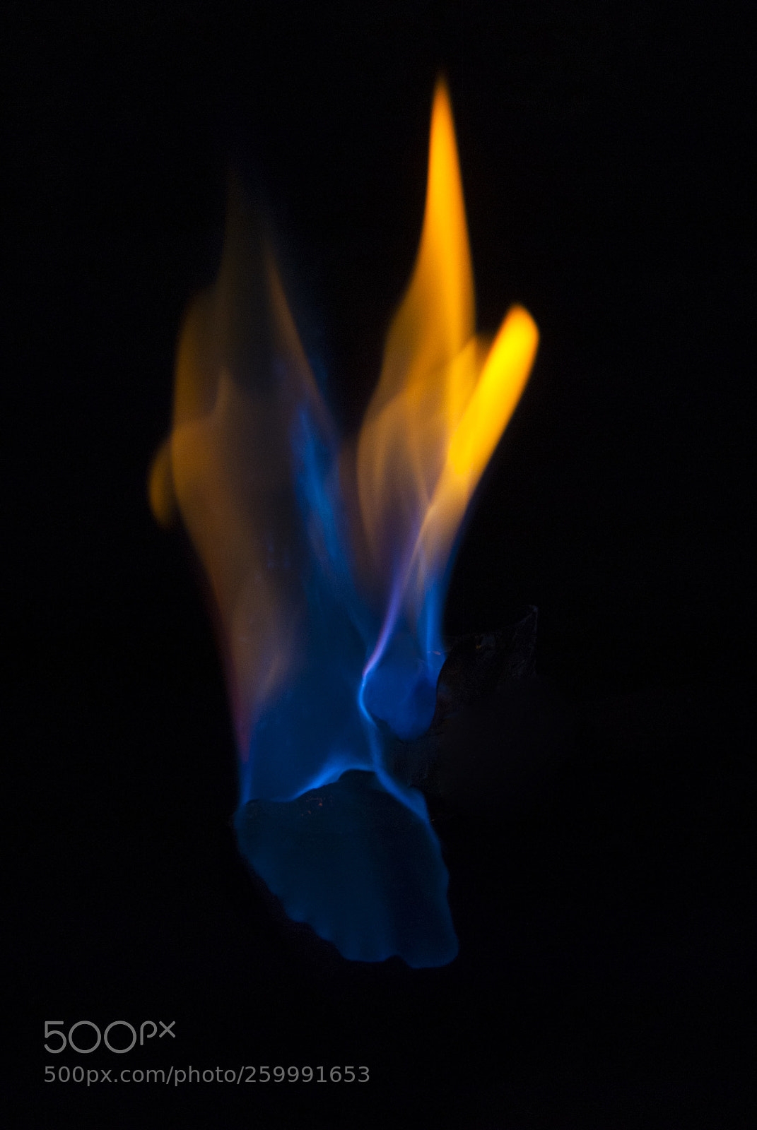 Nikon D200 sample photo. Flame blue and orange photography