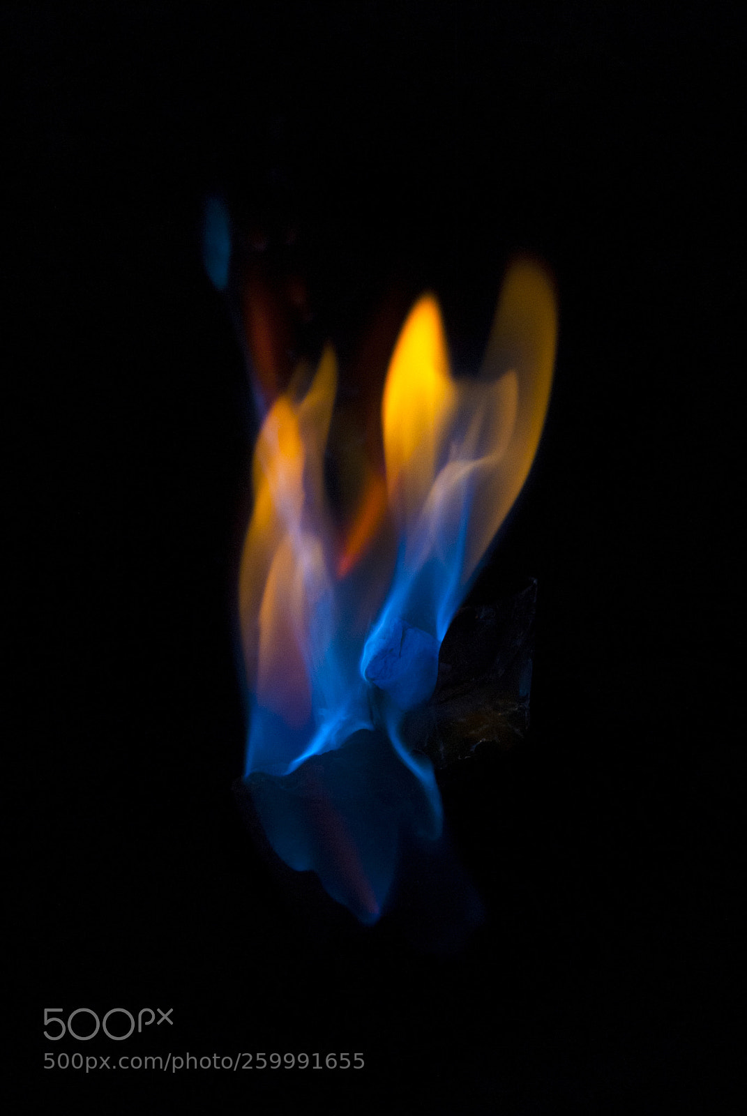 Nikon D200 sample photo. Flame blue and orange photography