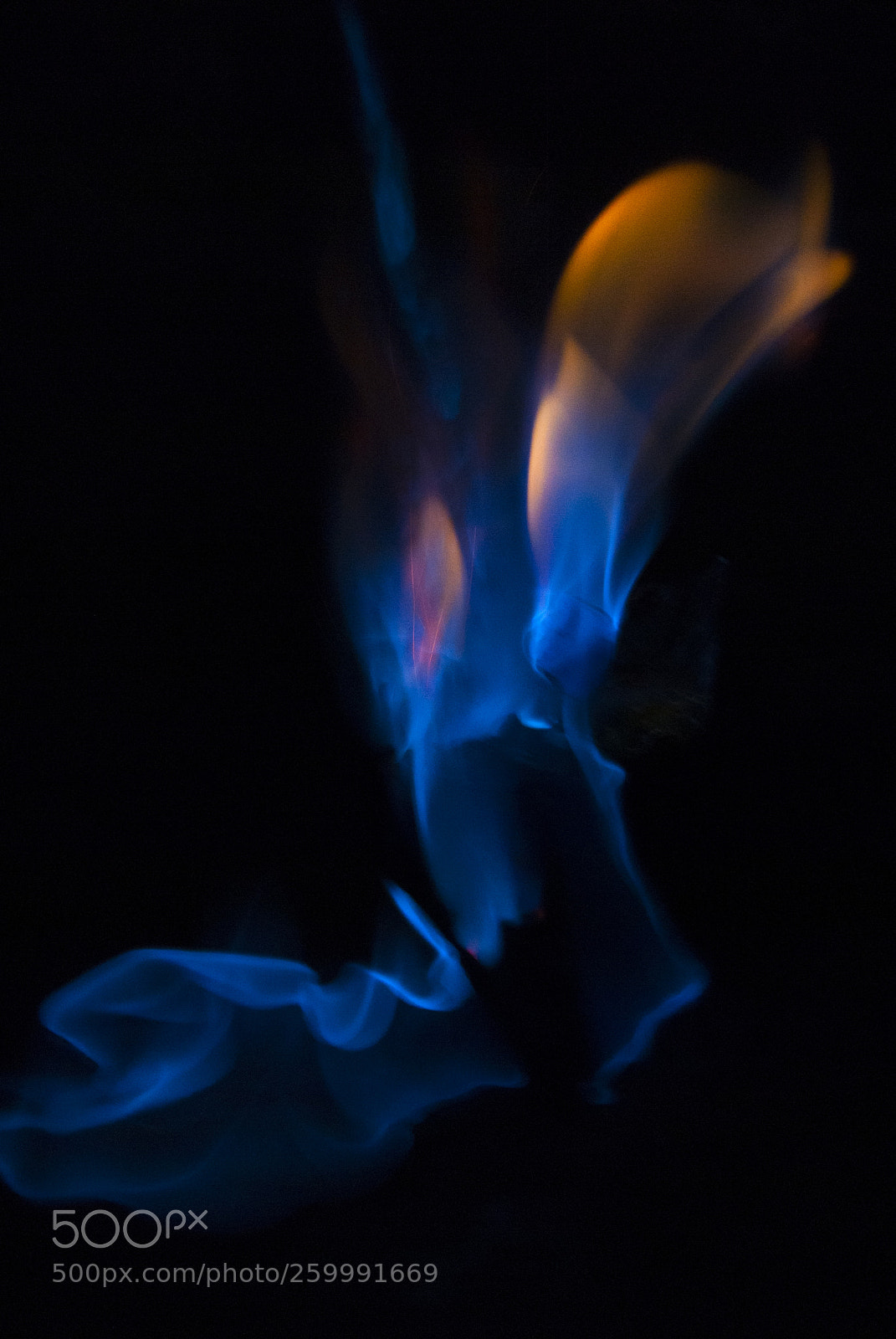 Nikon D200 sample photo. Flame blue and orange photography