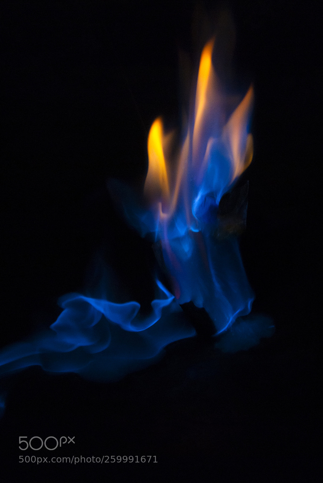 Nikon D200 sample photo. Flame blue and orange photography
