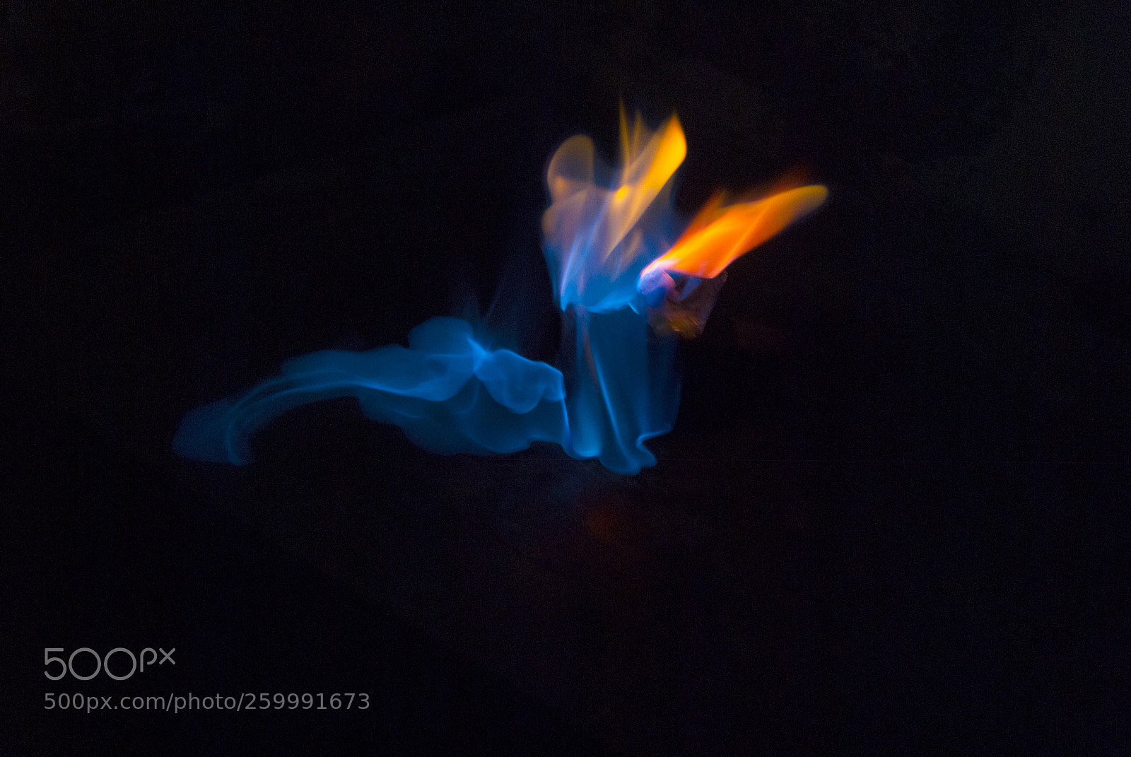 Nikon D200 sample photo. Flame blue and orange photography