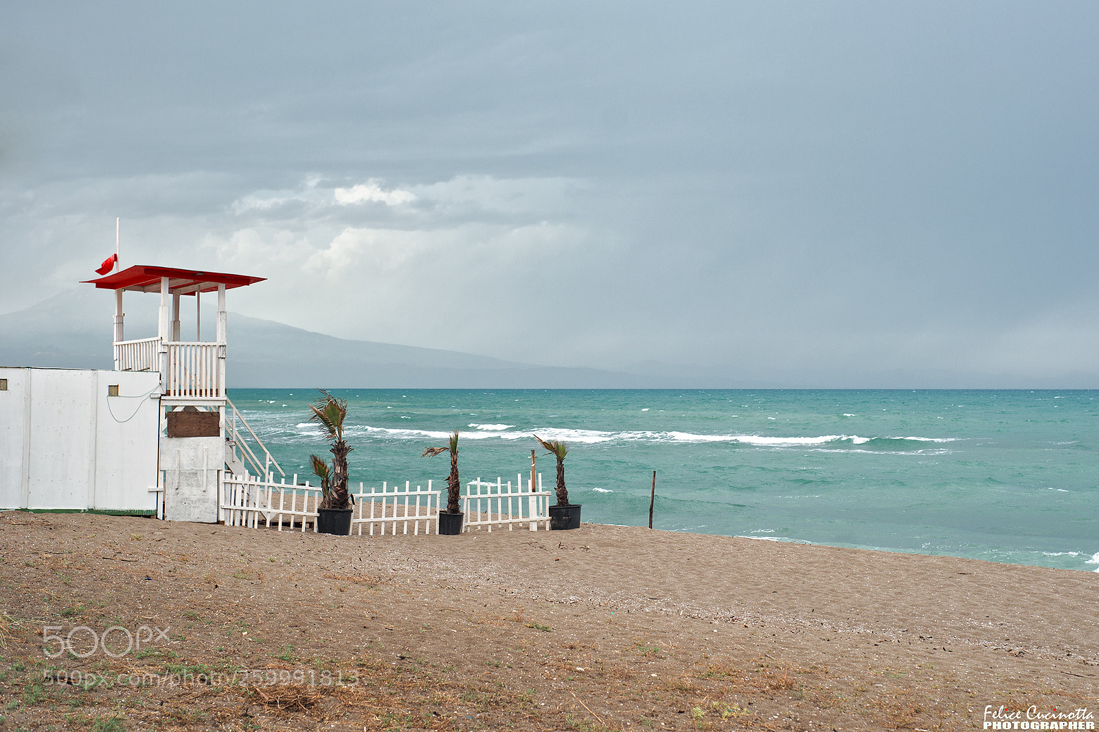 Sony Alpha DSLR-A850 sample photo. Almost summer photography