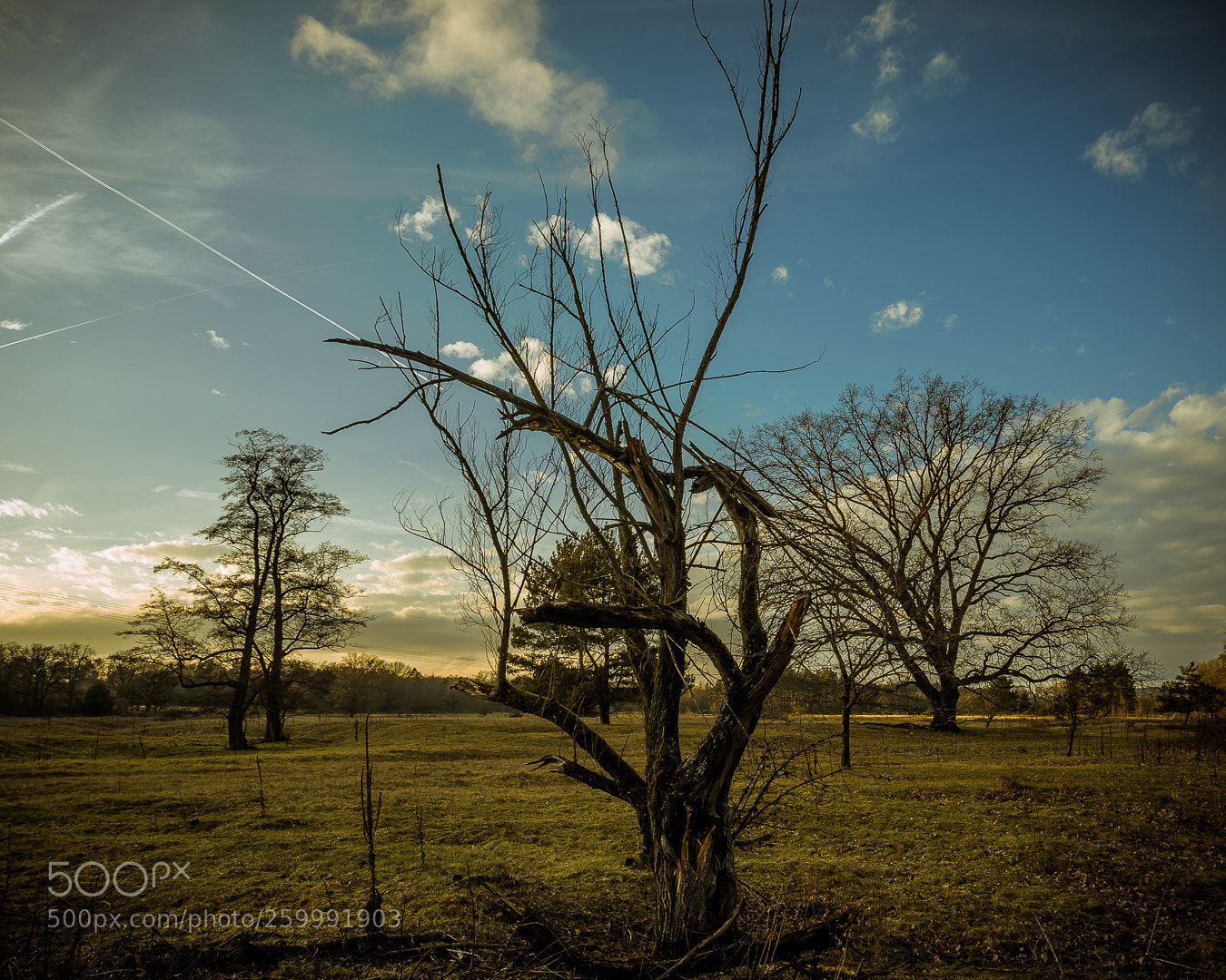 Nikon D500 sample photo. Dramatic sky photography
