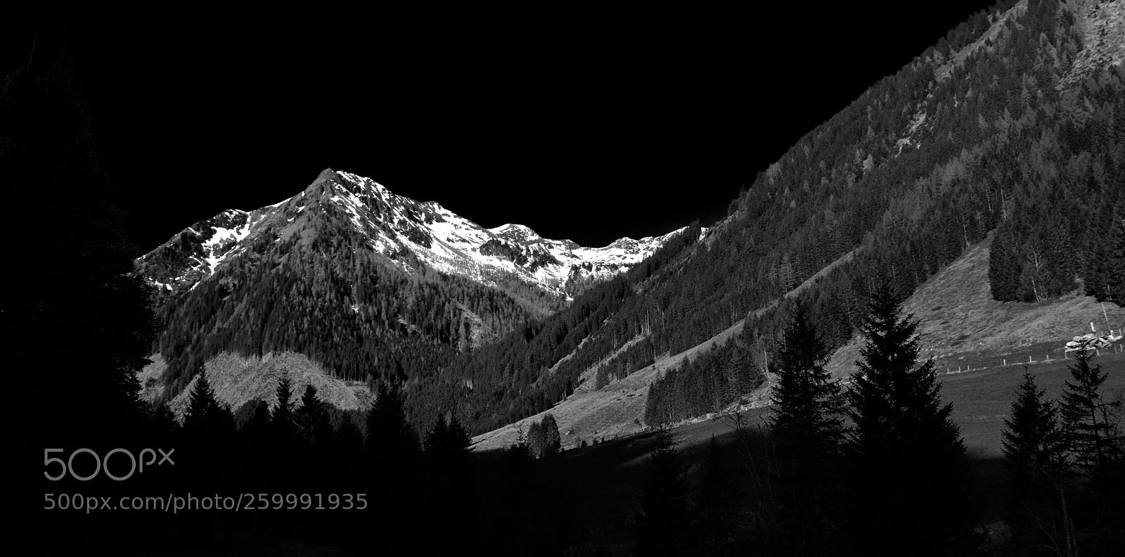 Nikon D7200 sample photo. Black and white photography