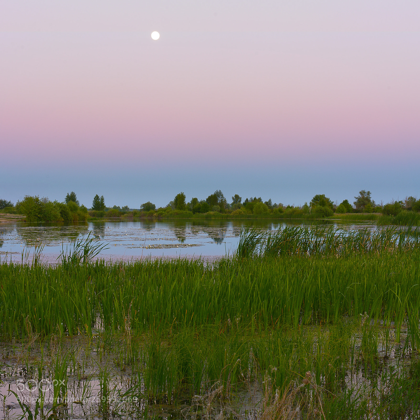 Nikon D7100 sample photo. Evening moon photography