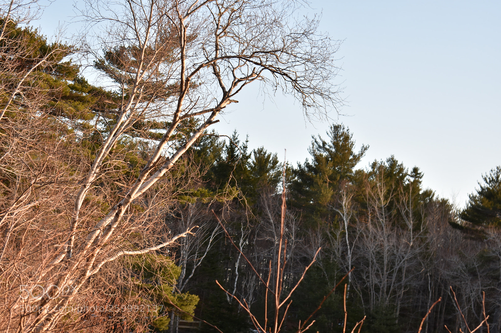 Nikon D3400 sample photo. 2018-04-12 19.18.18.jpg photography