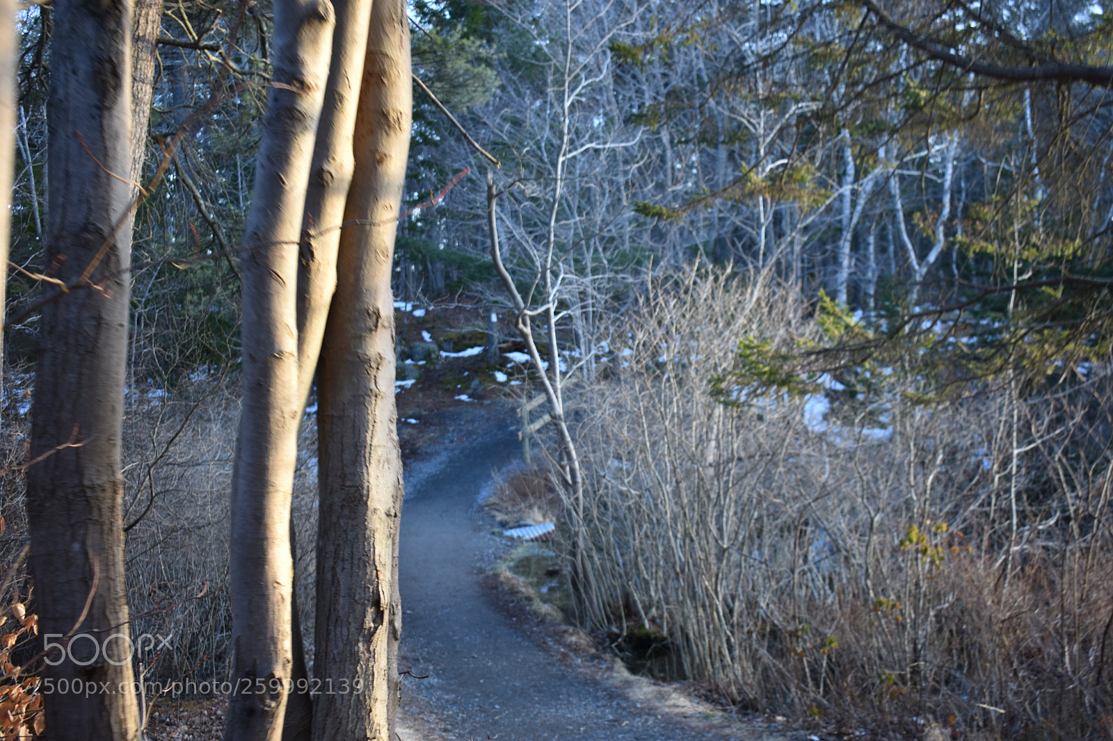 Nikon D3400 sample photo. 2018-04-12 19.19.08.jpg photography
