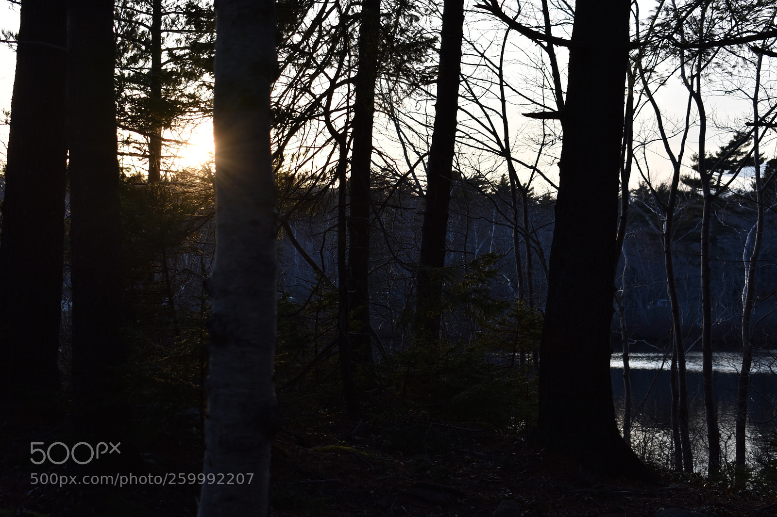 Nikon D3400 sample photo. 2018-04-12 19.23.09.jpg photography