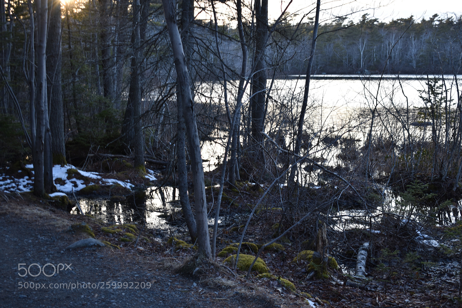 Nikon D3400 sample photo. 2018-04-12 19.20.12.jpg photography