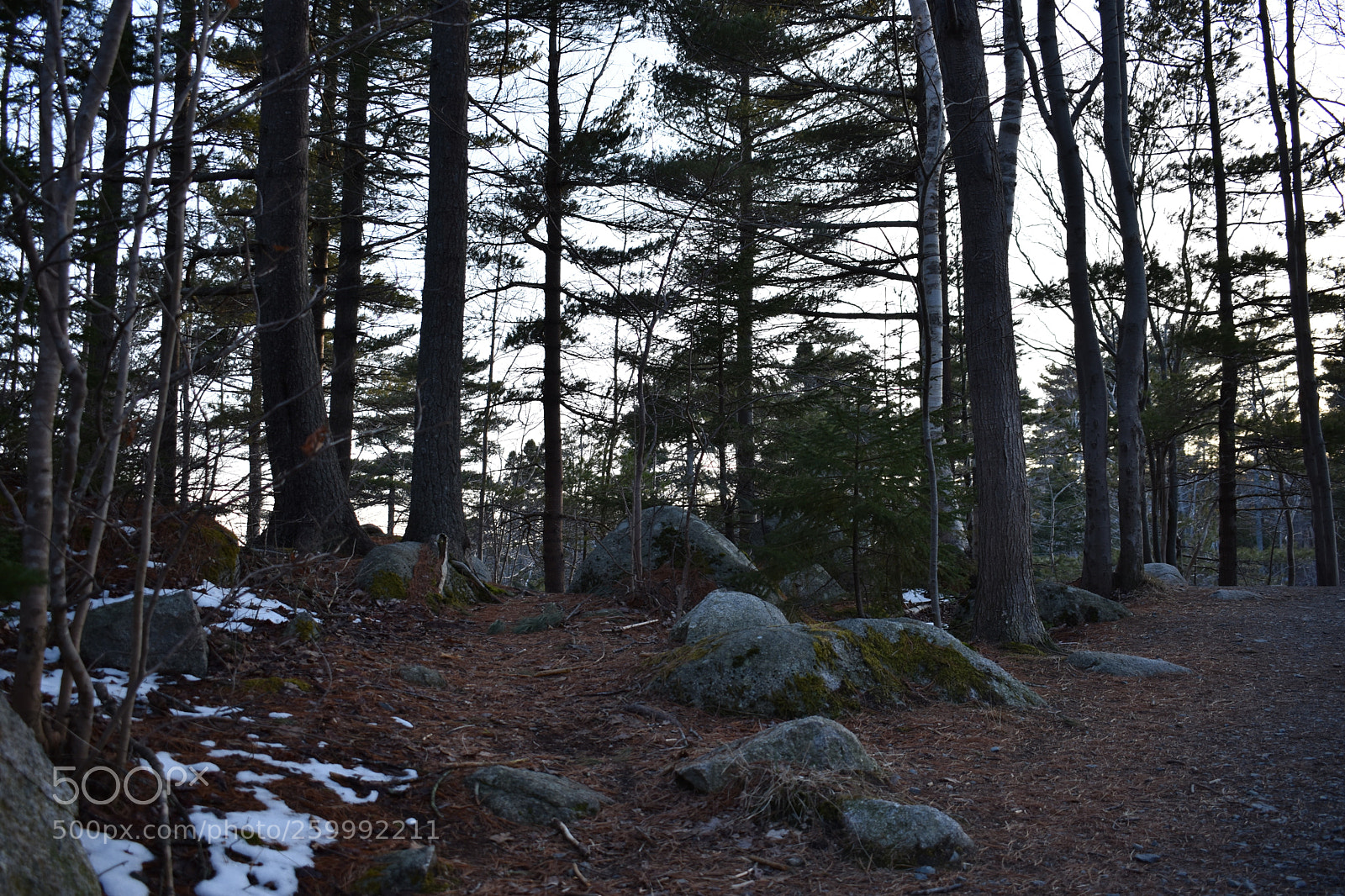 Nikon D3400 sample photo. 2018-04-12 19.20.54.jpg photography
