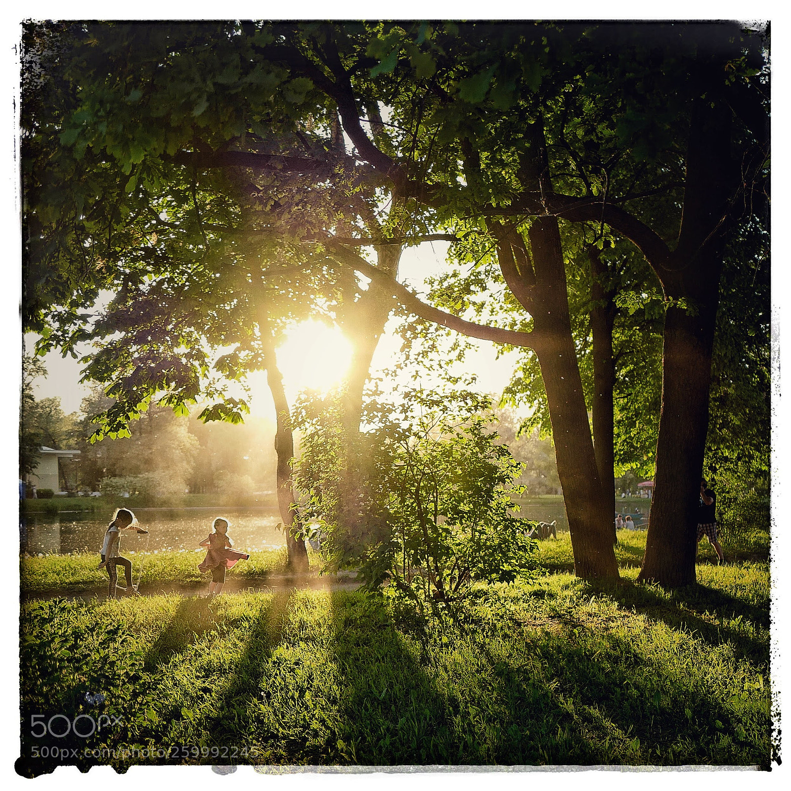 Leica Q (Typ 116) sample photo. Oleggantphoto evn photography