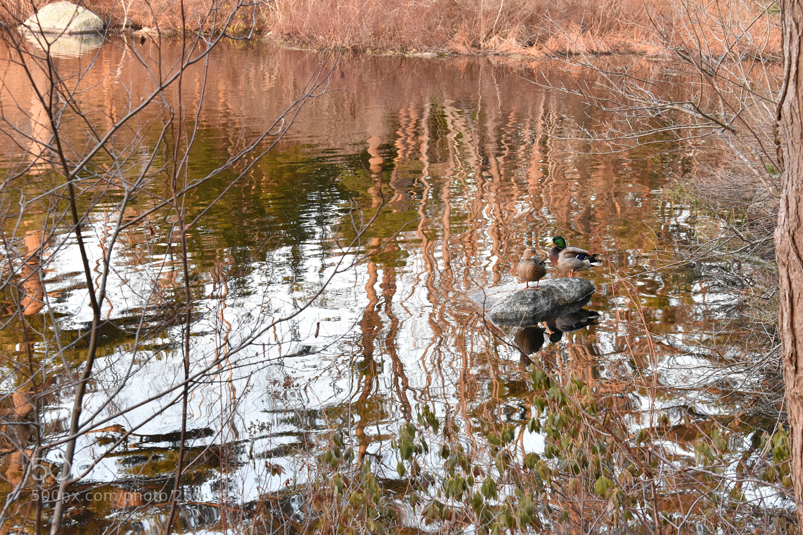 Nikon D3400 sample photo. 2018-04-12 19.26.19-1.jpg photography
