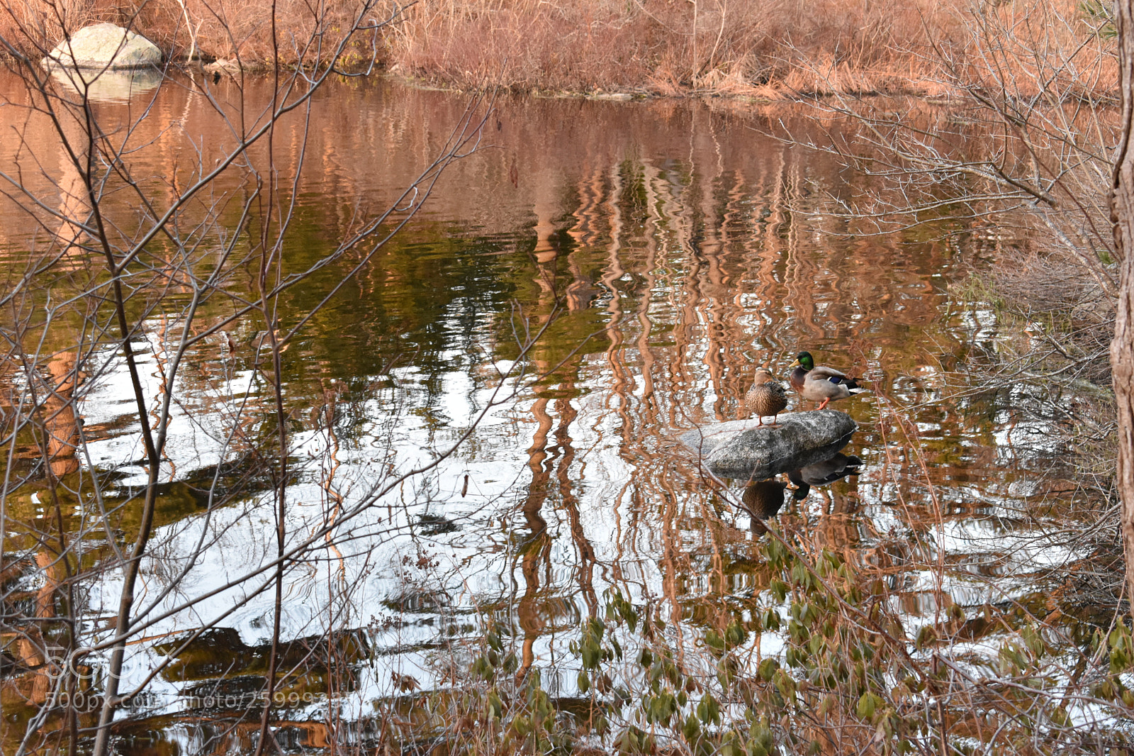 Nikon D3400 sample photo. 2018-04-12 19.26.19-2.jpg photography