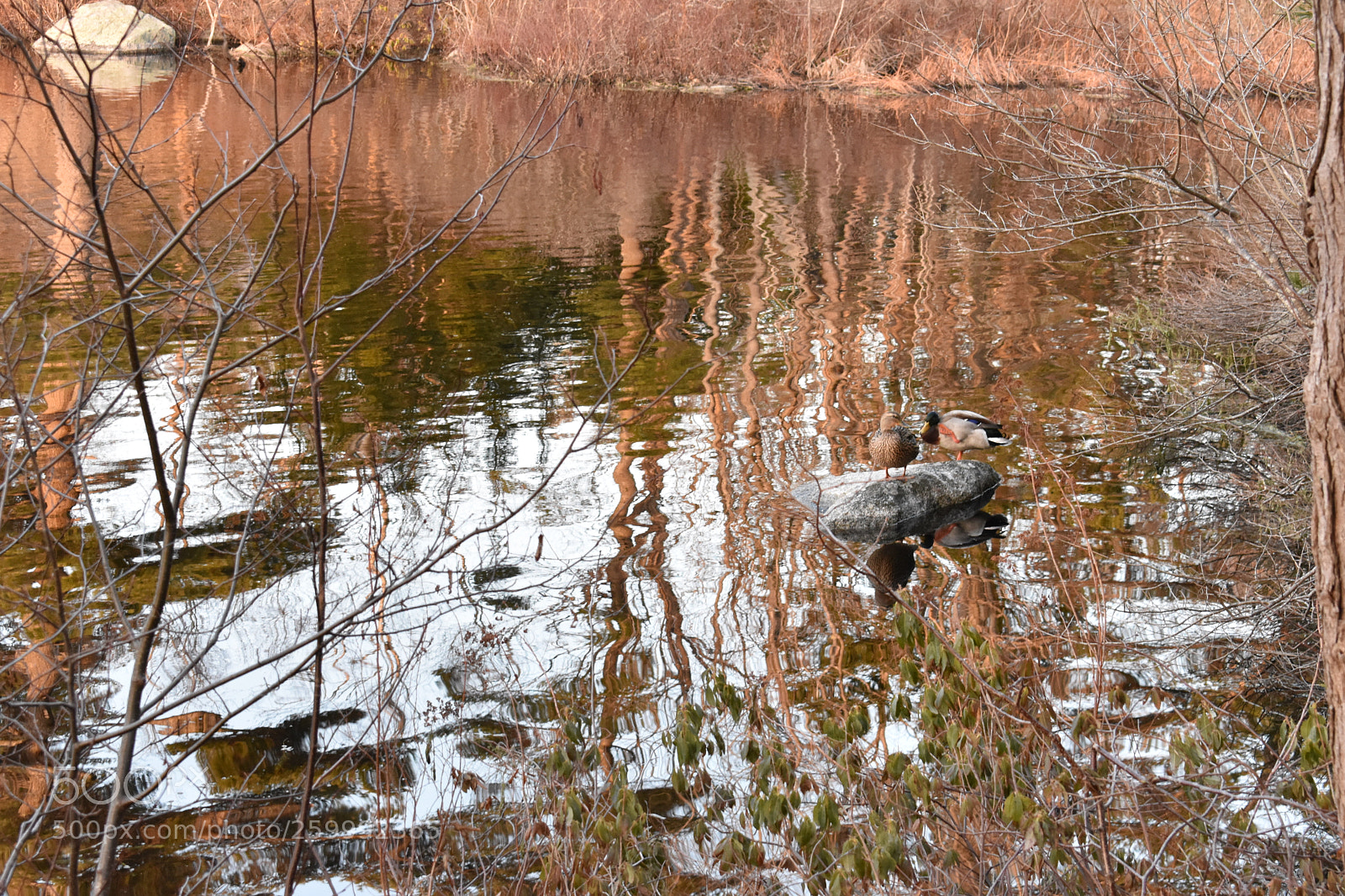 Nikon D3400 sample photo. 2018-04-12 19.26.21.jpg photography