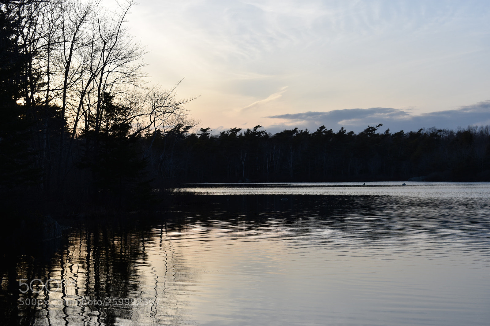 Nikon D3400 sample photo. 2018-04-12 19.27.16.jpg photography