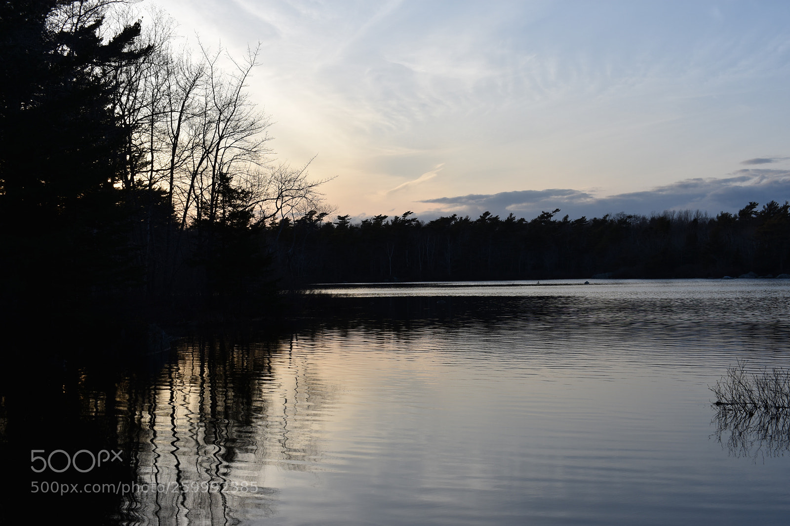 Nikon D3400 sample photo. 2018-04-12 19.27.19.jpg photography