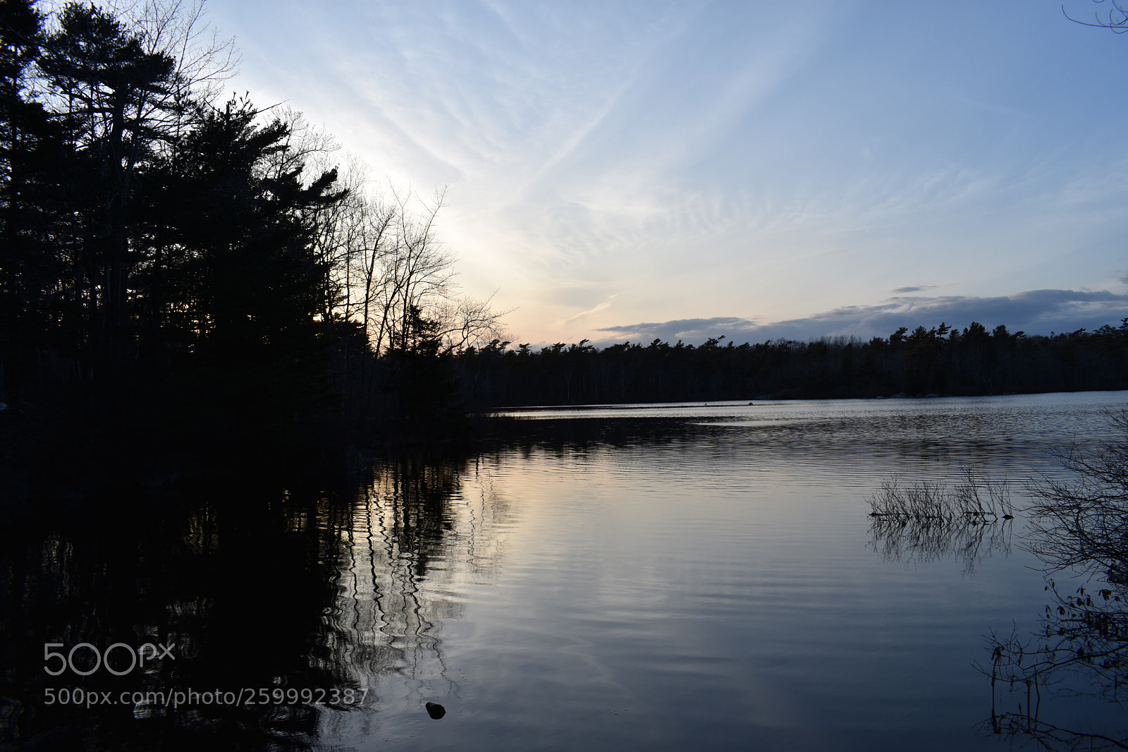 Nikon D3400 sample photo. 2018-04-12 19.27.21.jpg photography