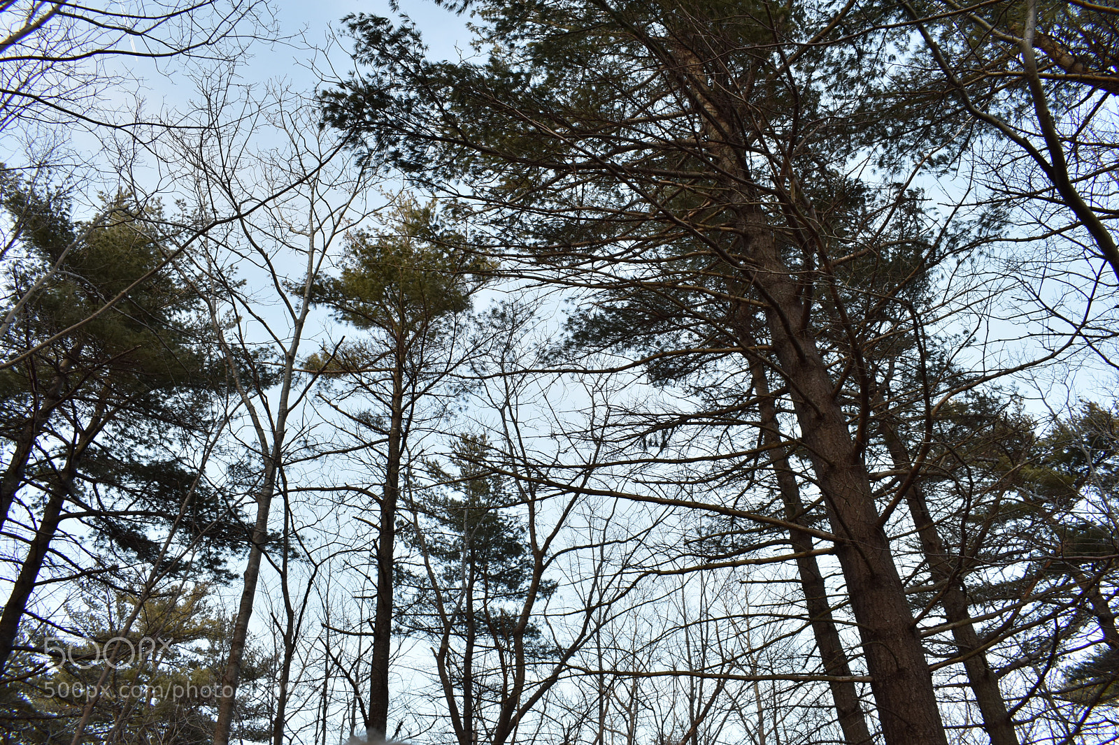 Nikon D3400 sample photo. 2018-04-12 19.37.49.jpg photography