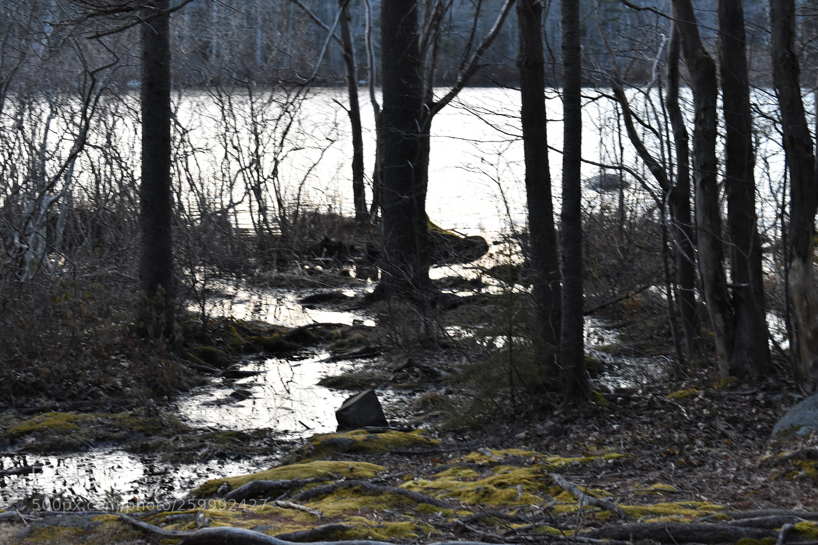 Nikon D3400 sample photo. 2018-04-12 19.44.21.jpg photography