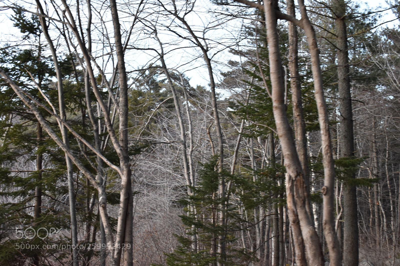 Nikon D3400 sample photo. 2018-04-12 19.44.51.jpg photography