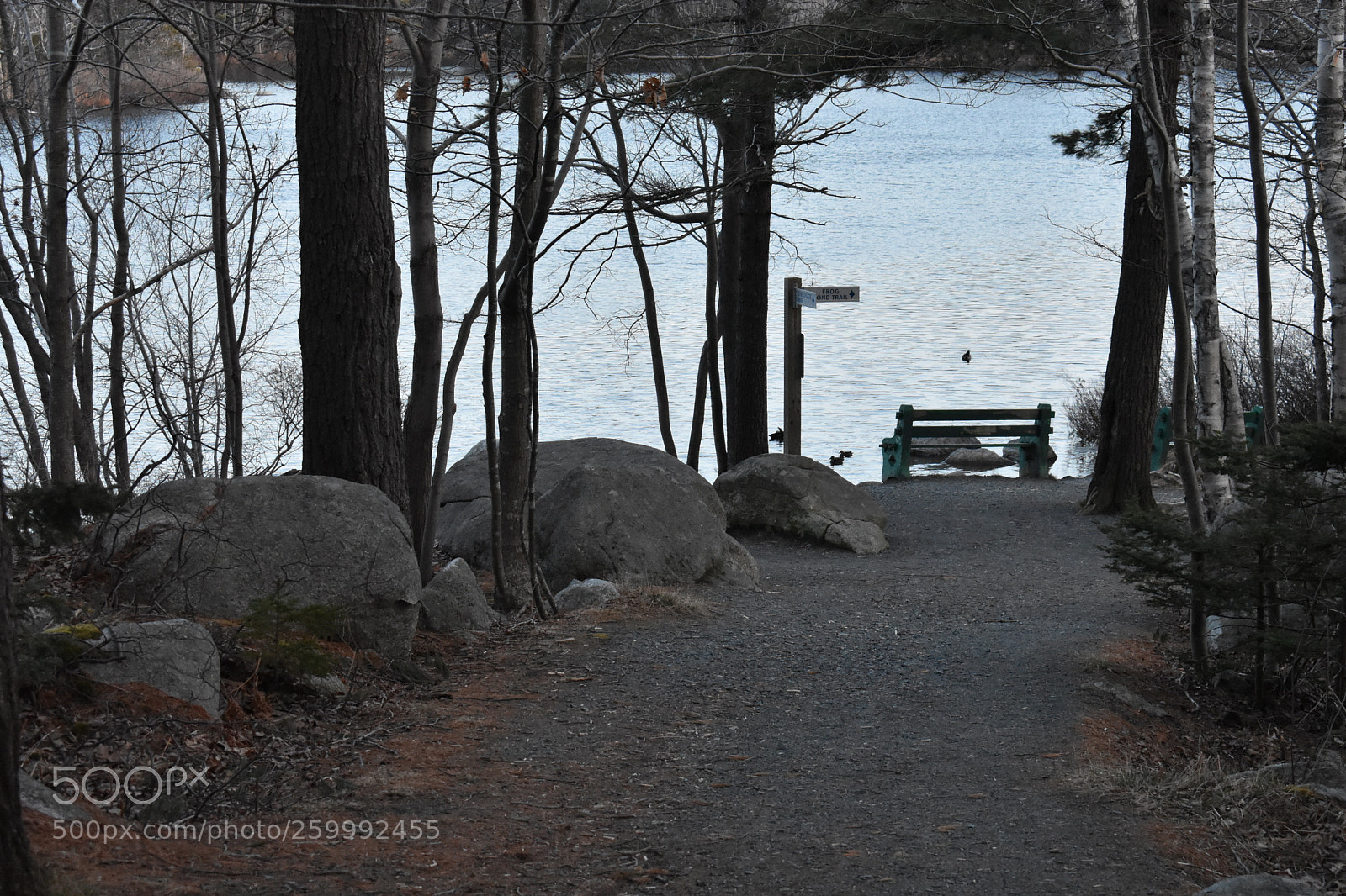 Nikon D3400 sample photo. 2018-04-12 19.49.39.jpg photography