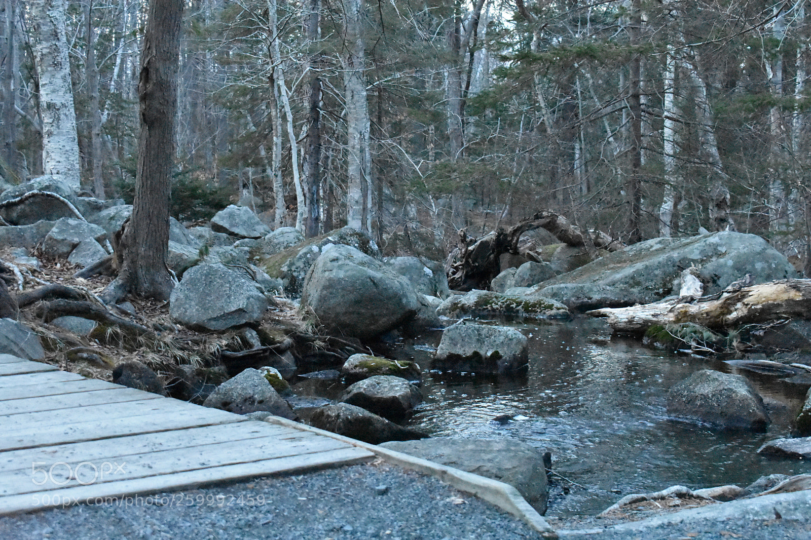 Nikon D3400 sample photo. 2018-04-12 19.58.03.jpg photography