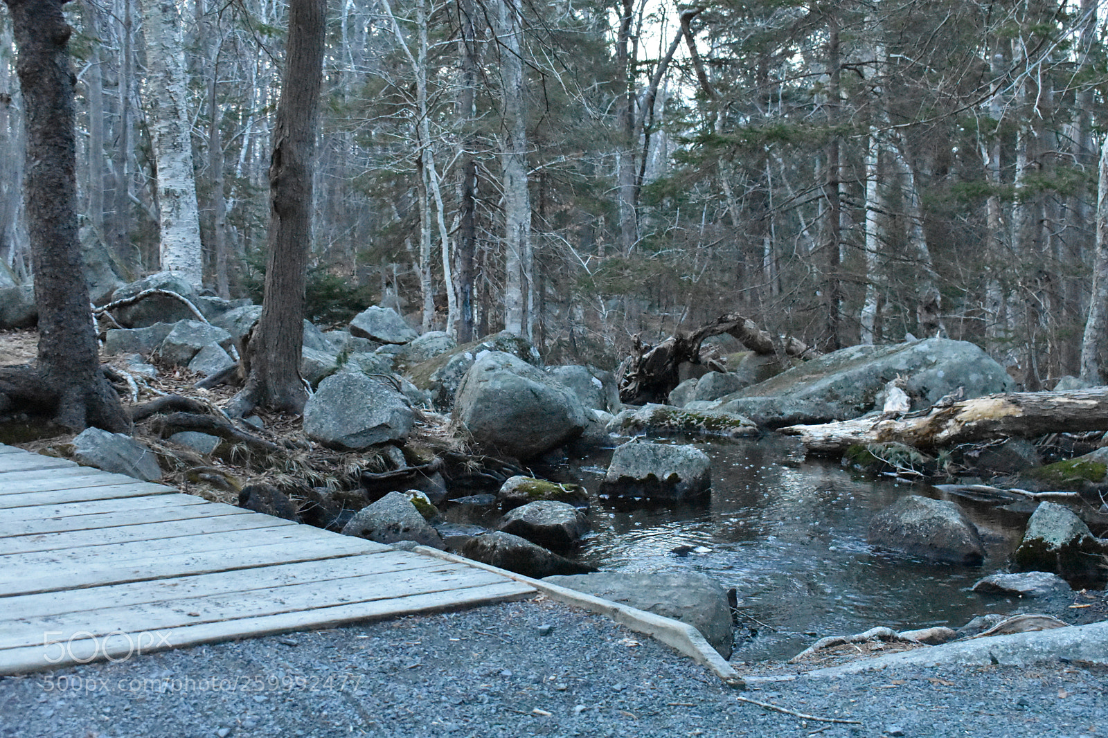 Nikon D3400 sample photo. 2018-04-12 19.58.04.jpg photography