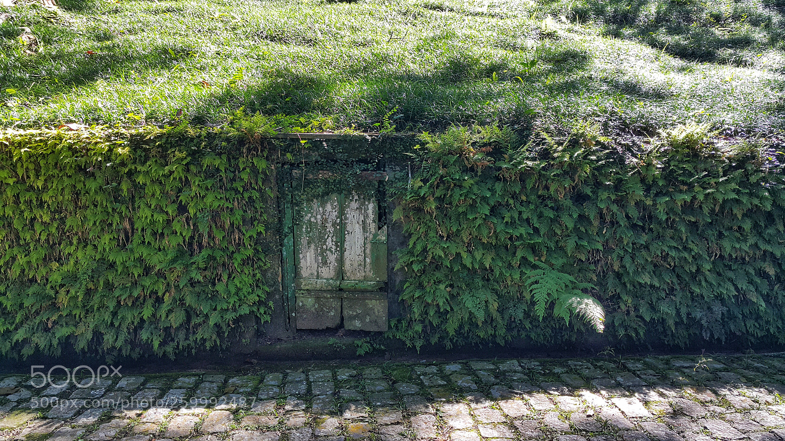 Samsung Galaxy Note4 sample photo. Old door photography