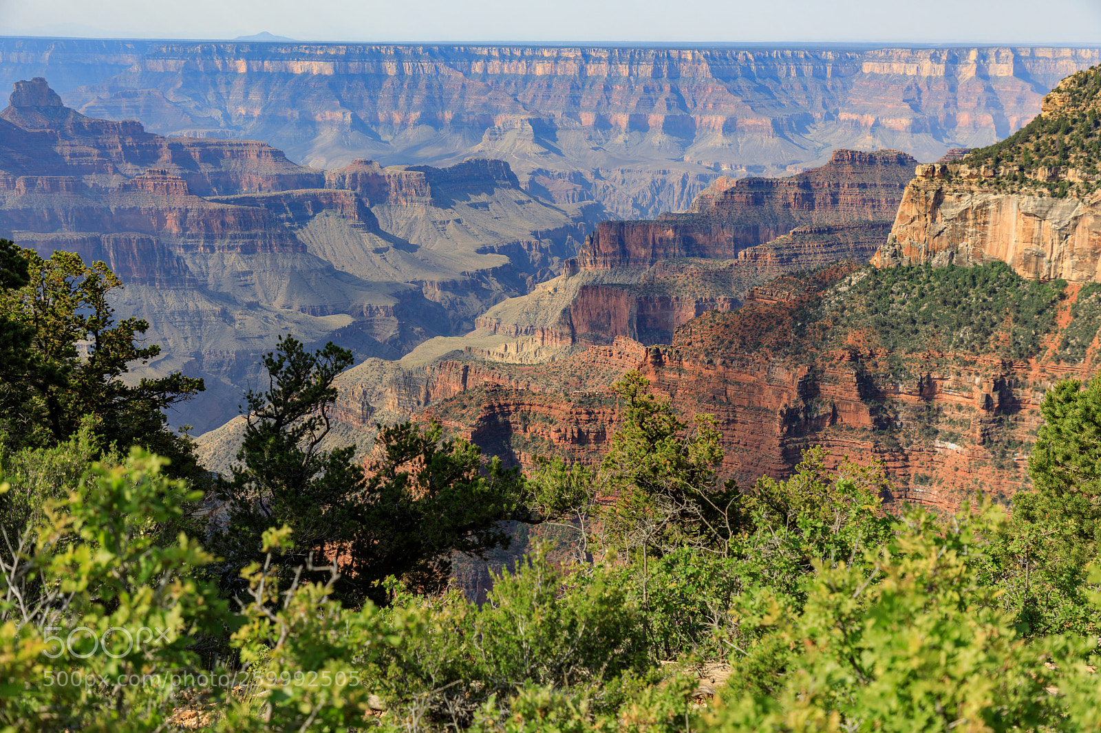 Canon EOS 5D Mark IV sample photo. Grand canyon national park 3026 photography
