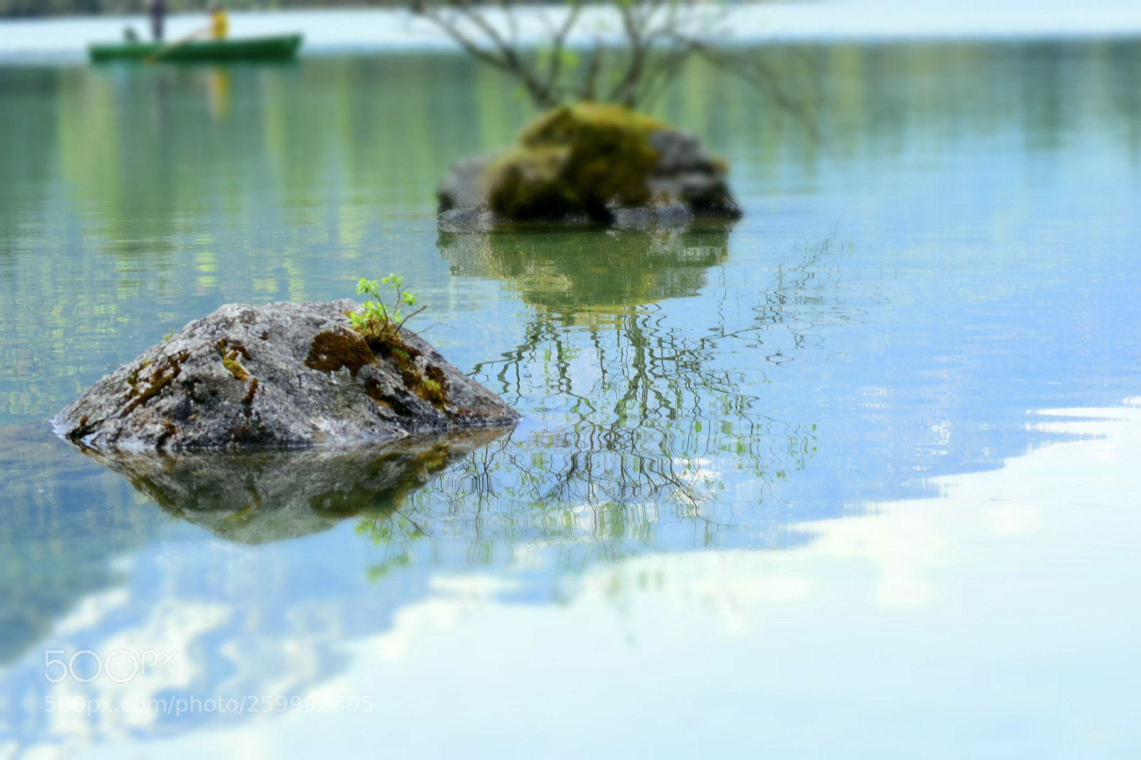 Nikon D7200 sample photo. Untitled photography
