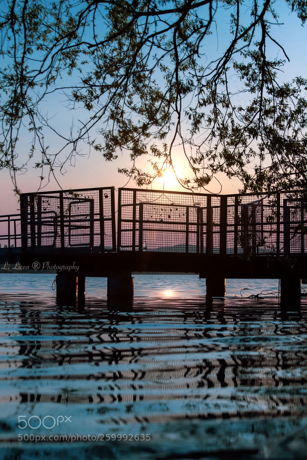 Canon EOS 6D Mark II sample photo. At horizon 121 photography