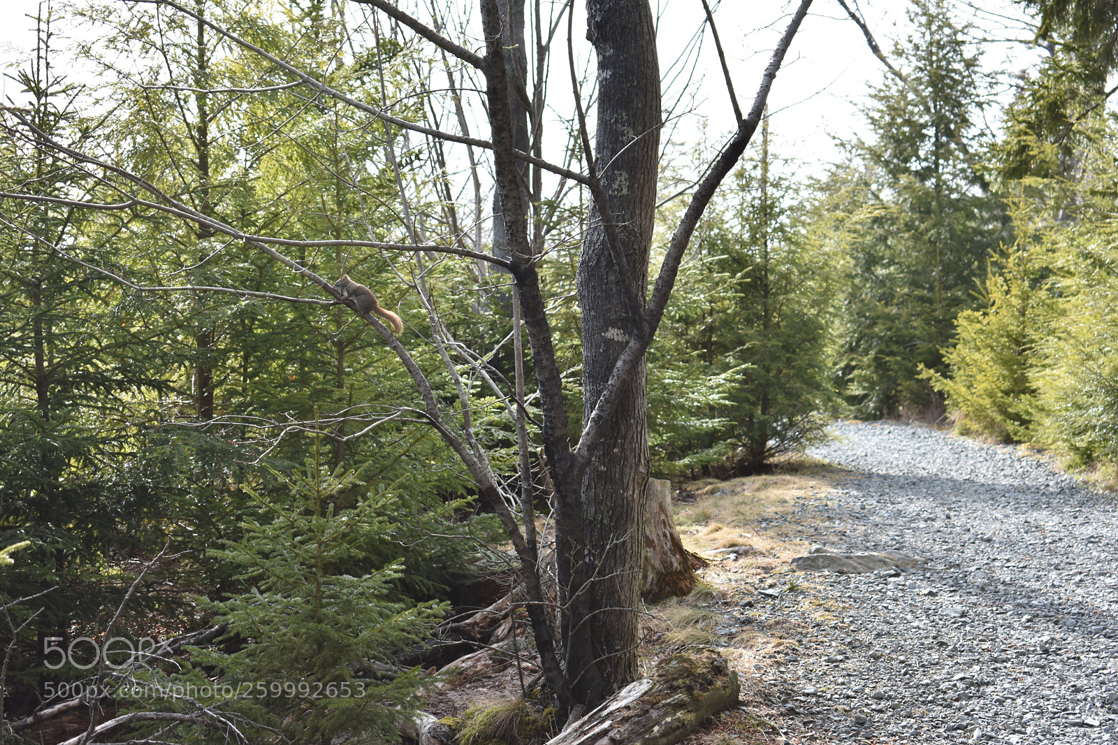 Nikon D3400 sample photo. 2018-04-13 16.51.55.jpg photography