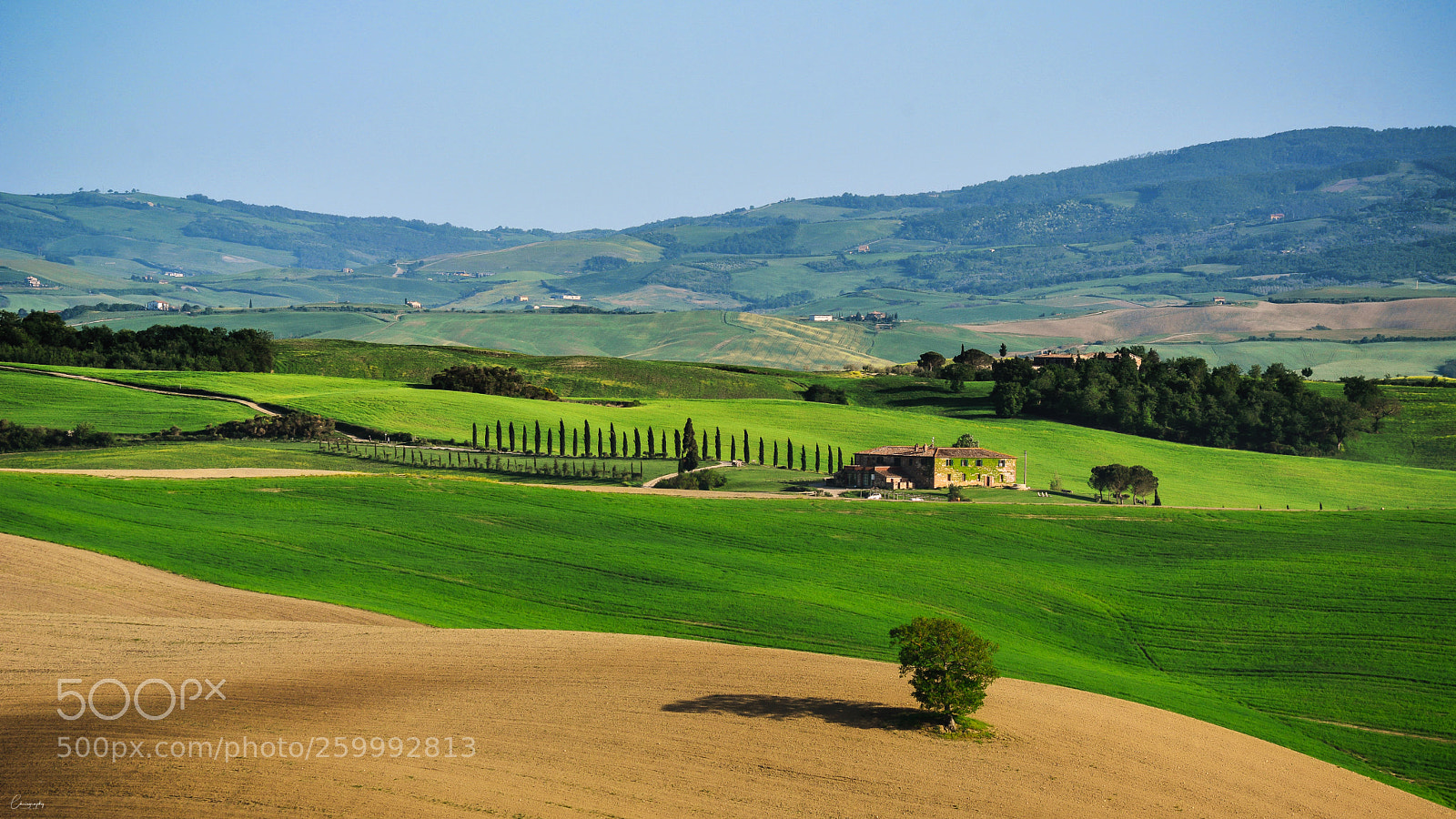 Nikon D7100 sample photo. Near peinza photography