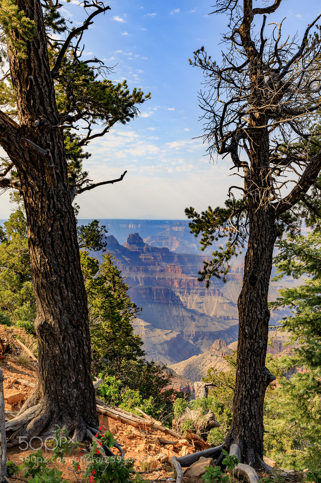 Canon EOS 5D Mark IV sample photo. Grand canyon national park 3038 photography