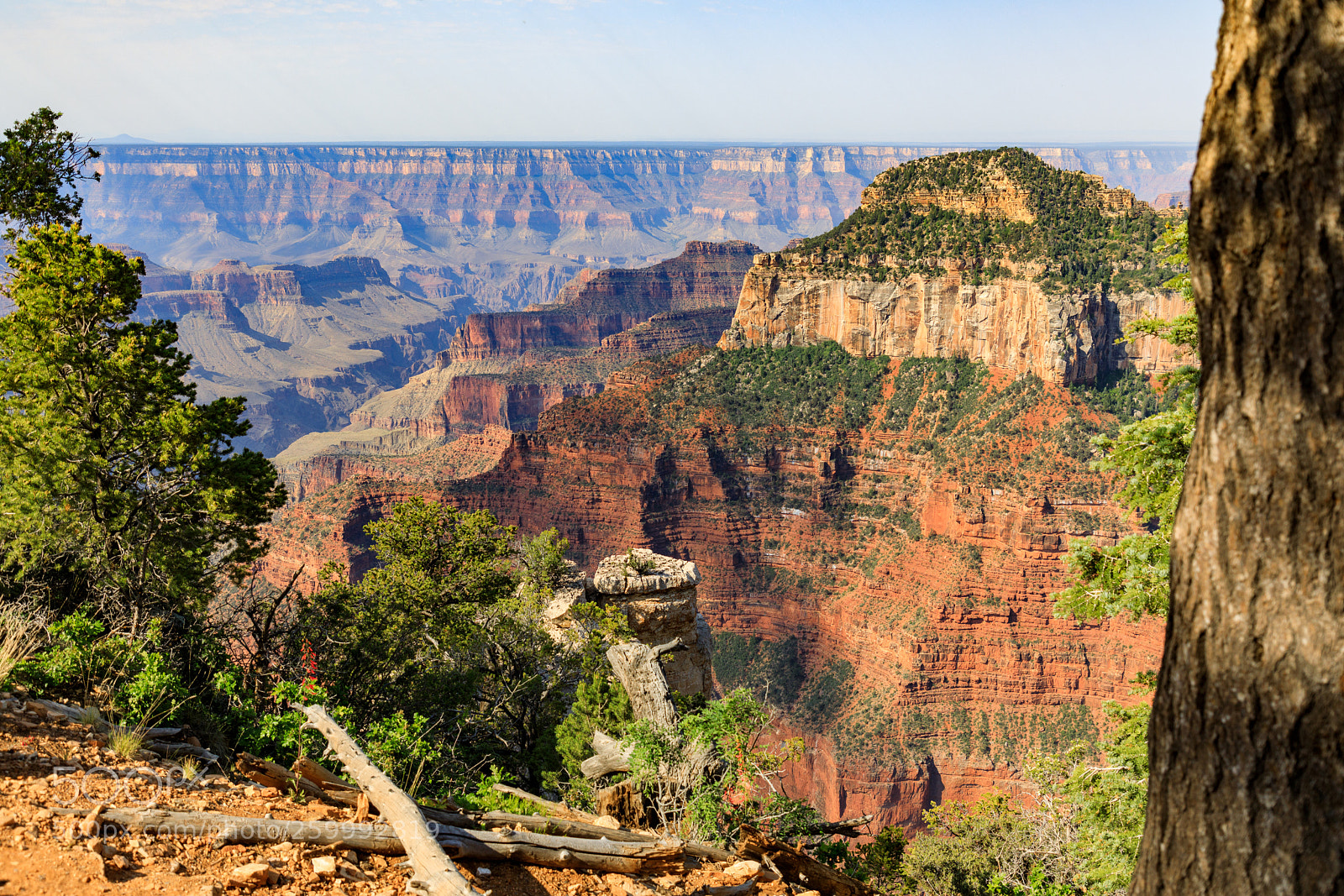 Canon EOS 5D Mark IV sample photo. Grand canyon national park 3029 photography