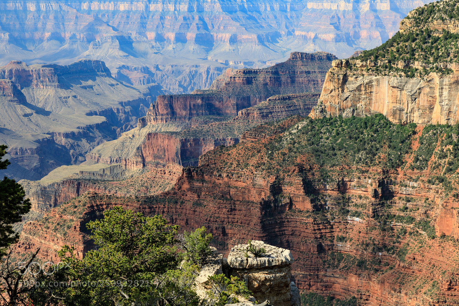 Canon EOS 5D Mark IV sample photo. Grand canyon national park 3034 photography