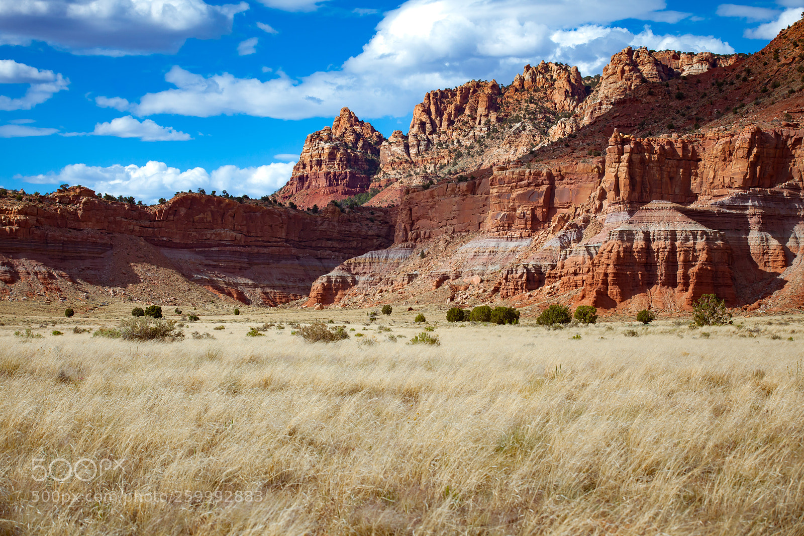 Canon EOS 5D Mark II sample photo. Kaibab desert photography