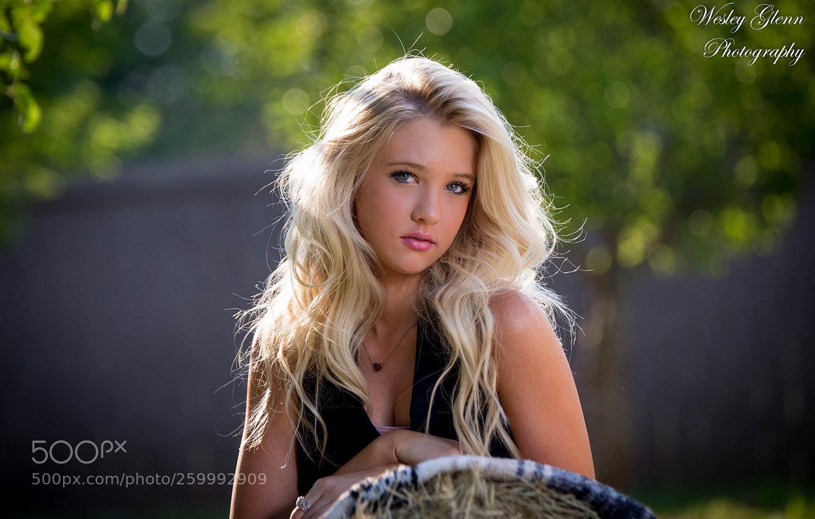Canon EOS 6D sample photo. Annsliegh photography