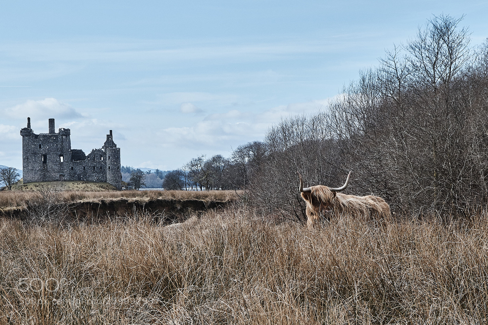 Canon EOS 80D sample photo. Scotland landscape photography