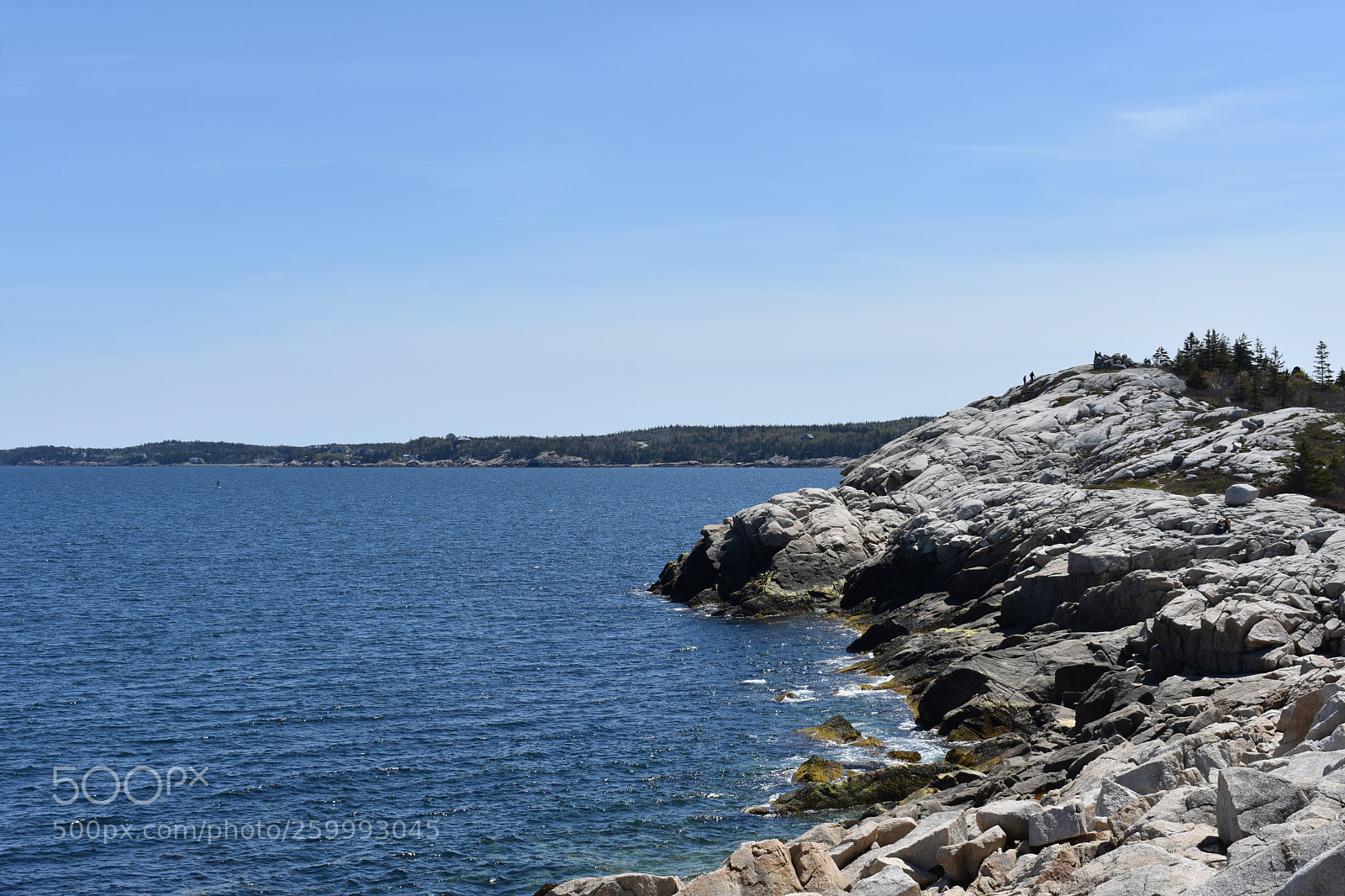 Nikon D3400 sample photo. 2018-05-27 14.59.51.jpg photography
