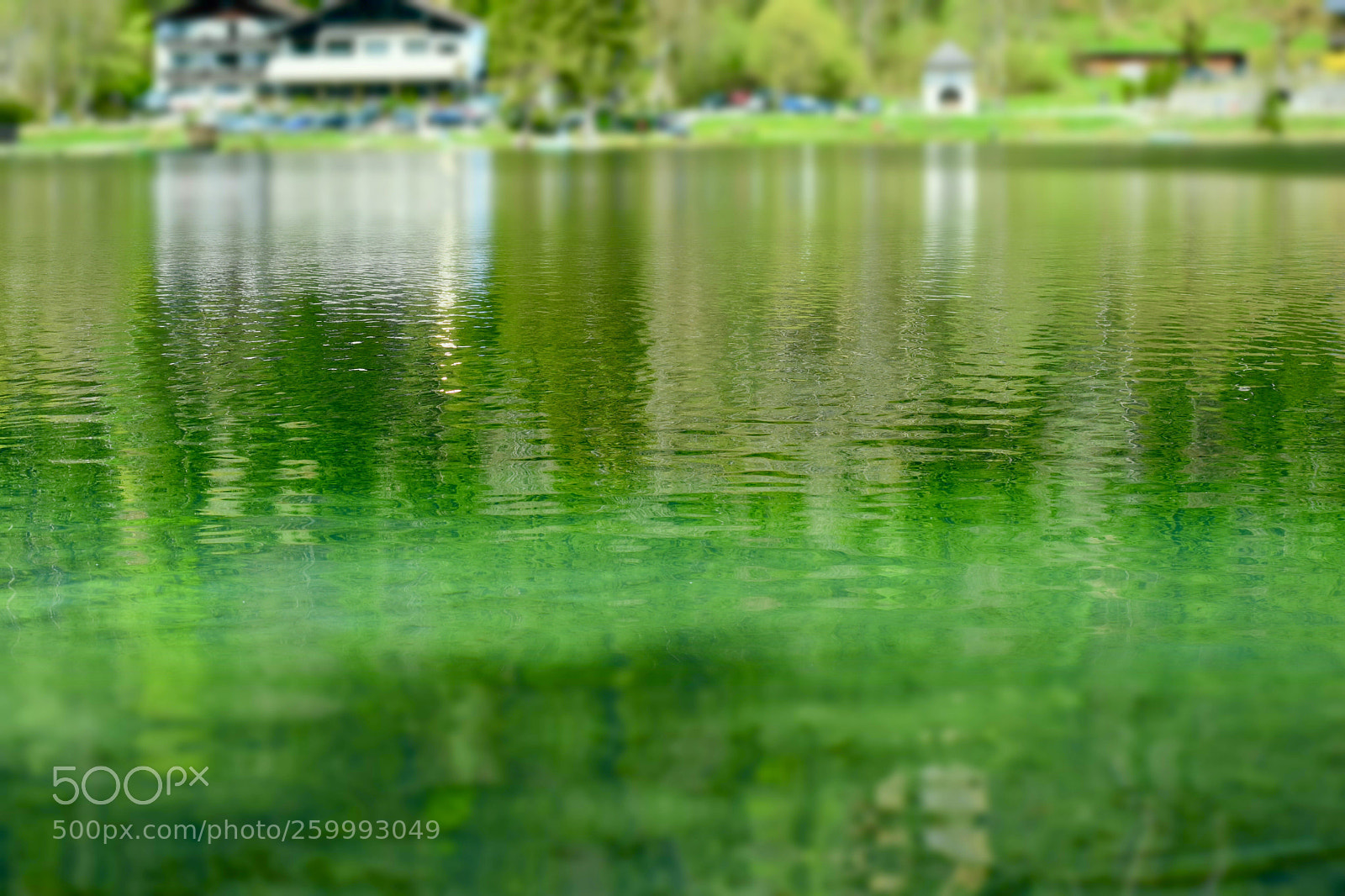 Nikon D7200 sample photo. Untitled photography