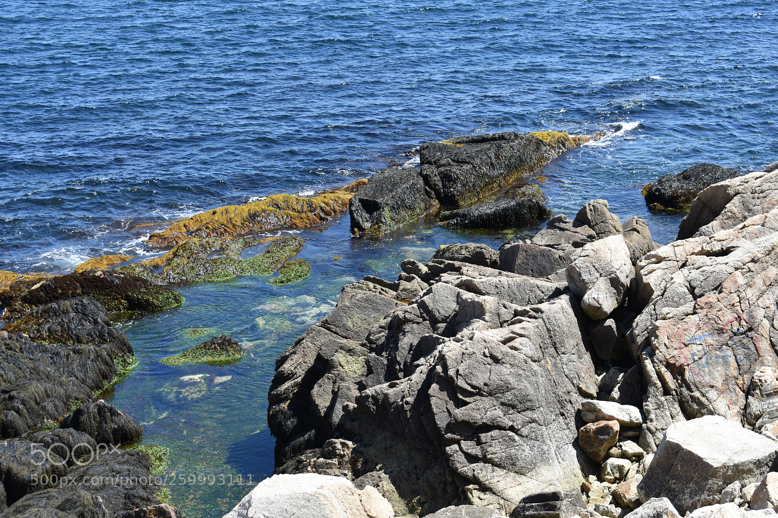 Nikon D3400 sample photo. 2018-05-27 14.59.59.jpg photography