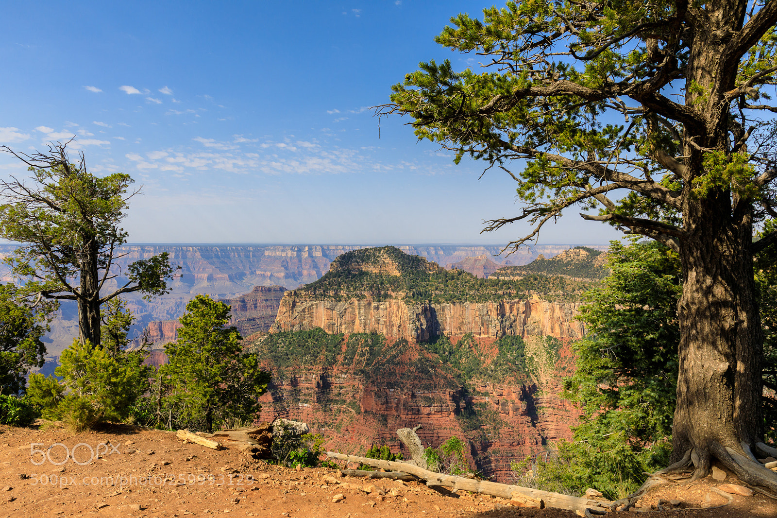 Canon EOS 5D Mark IV sample photo. Grand canyon national park 3077 photography