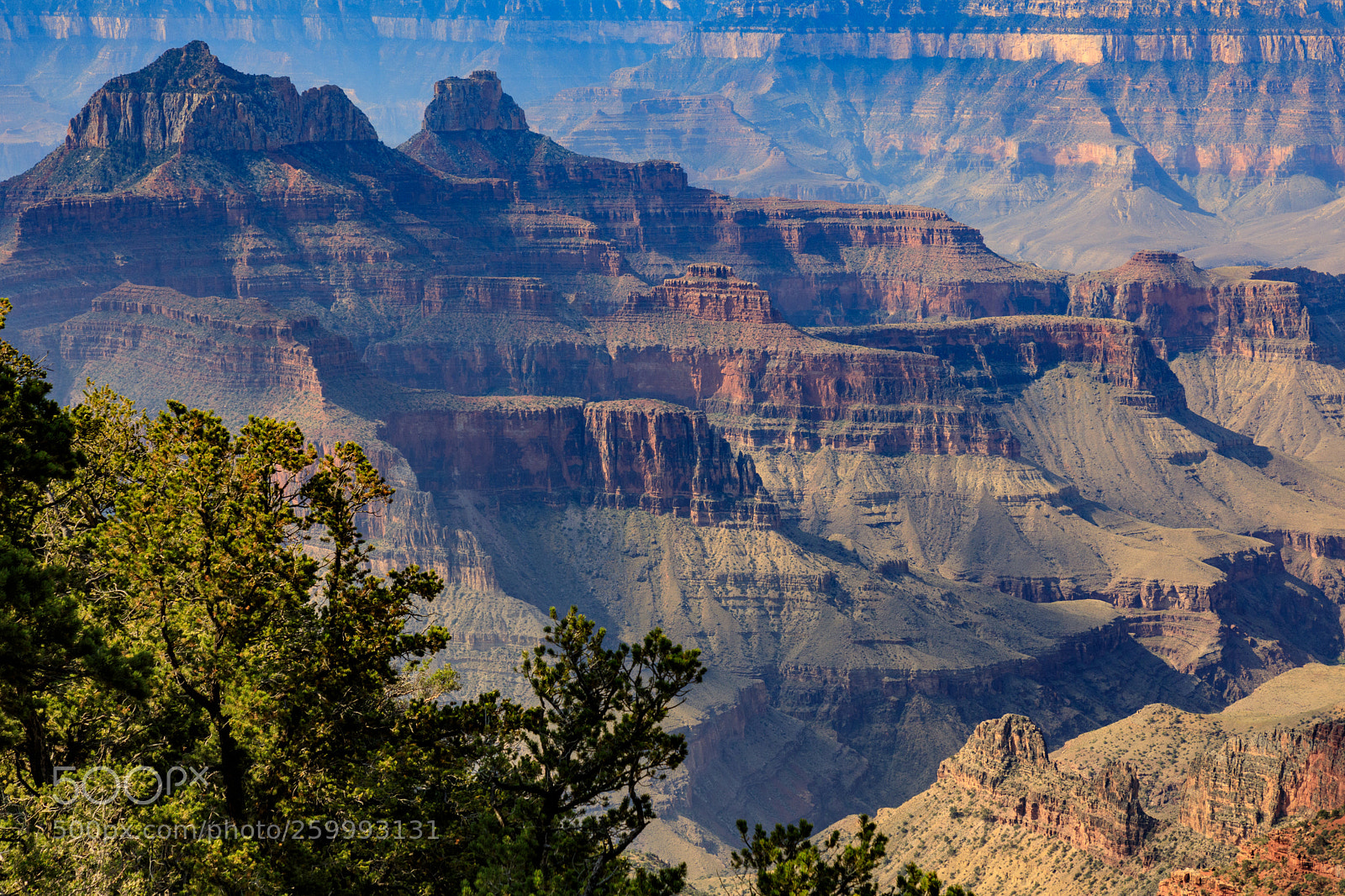 Canon EOS 5D Mark IV sample photo. Grand canyon national park 3075 photography