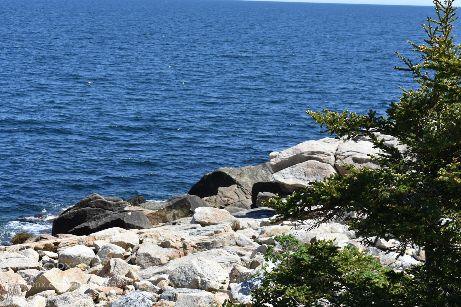 Nikon D3400 sample photo. 2018-05-27 15.07.00.jpg photography