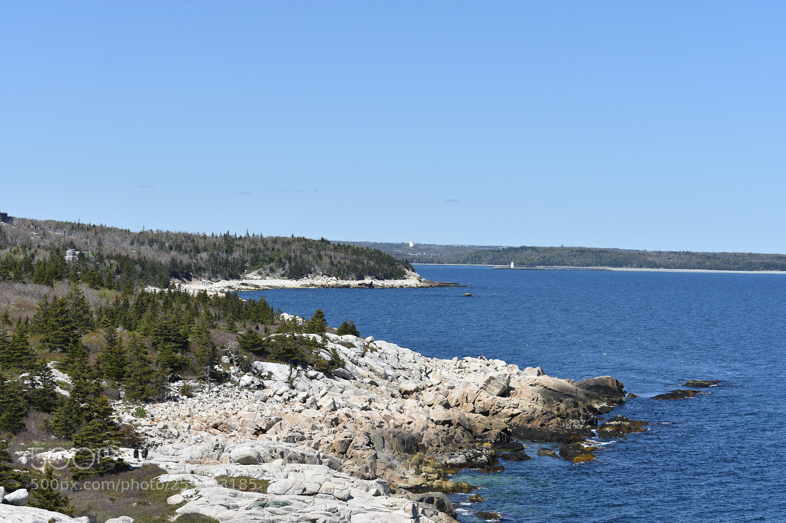 Nikon D3400 sample photo. 2018-05-27 15.16.51.jpg photography