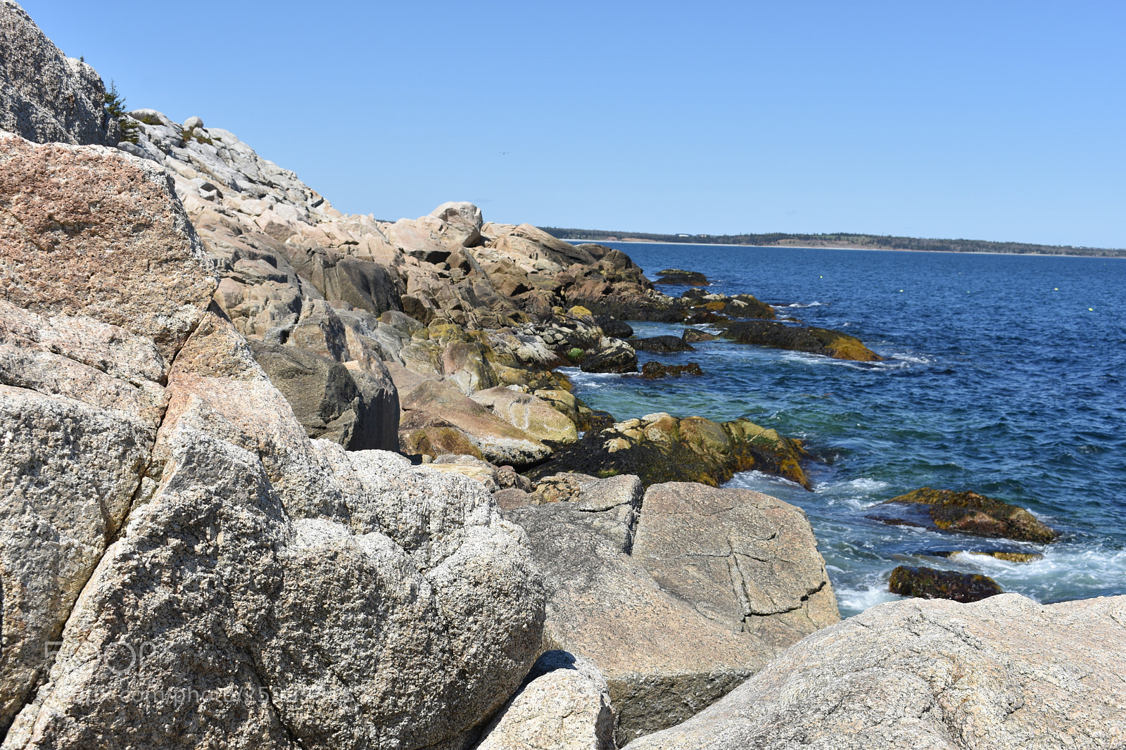 Nikon D3400 sample photo. 2018-05-27 15.27.17.jpg photography