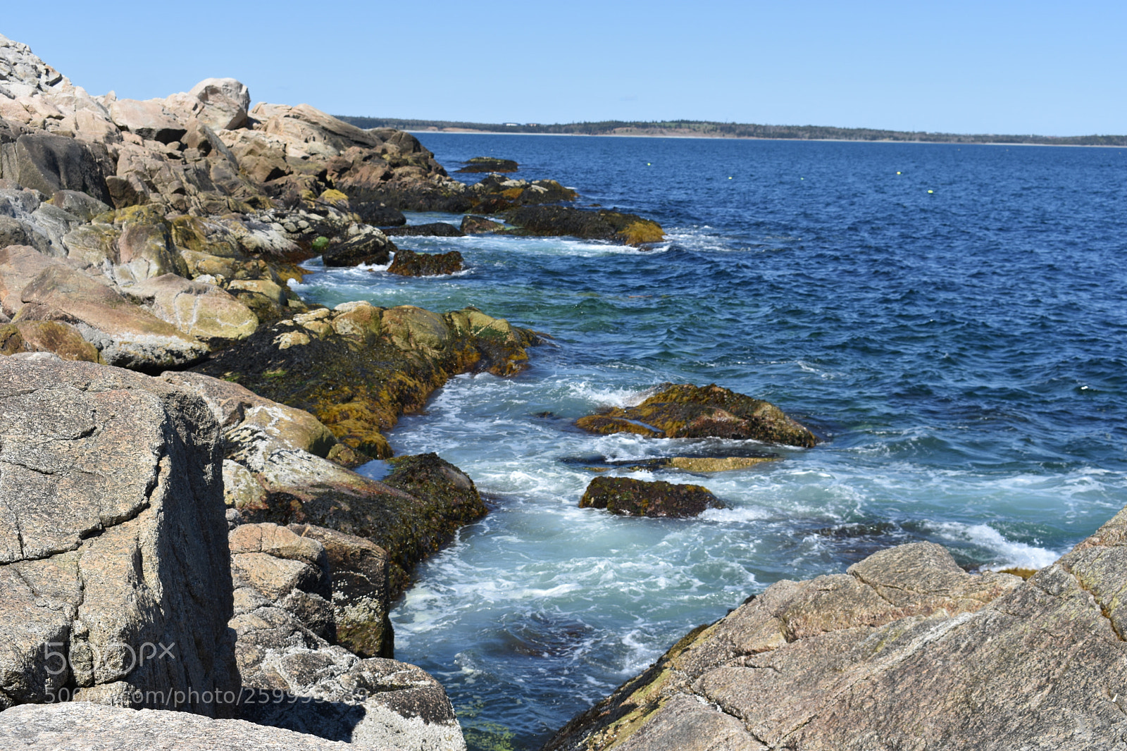 Nikon D3400 sample photo. 2018-05-27 15.28.24.jpg photography