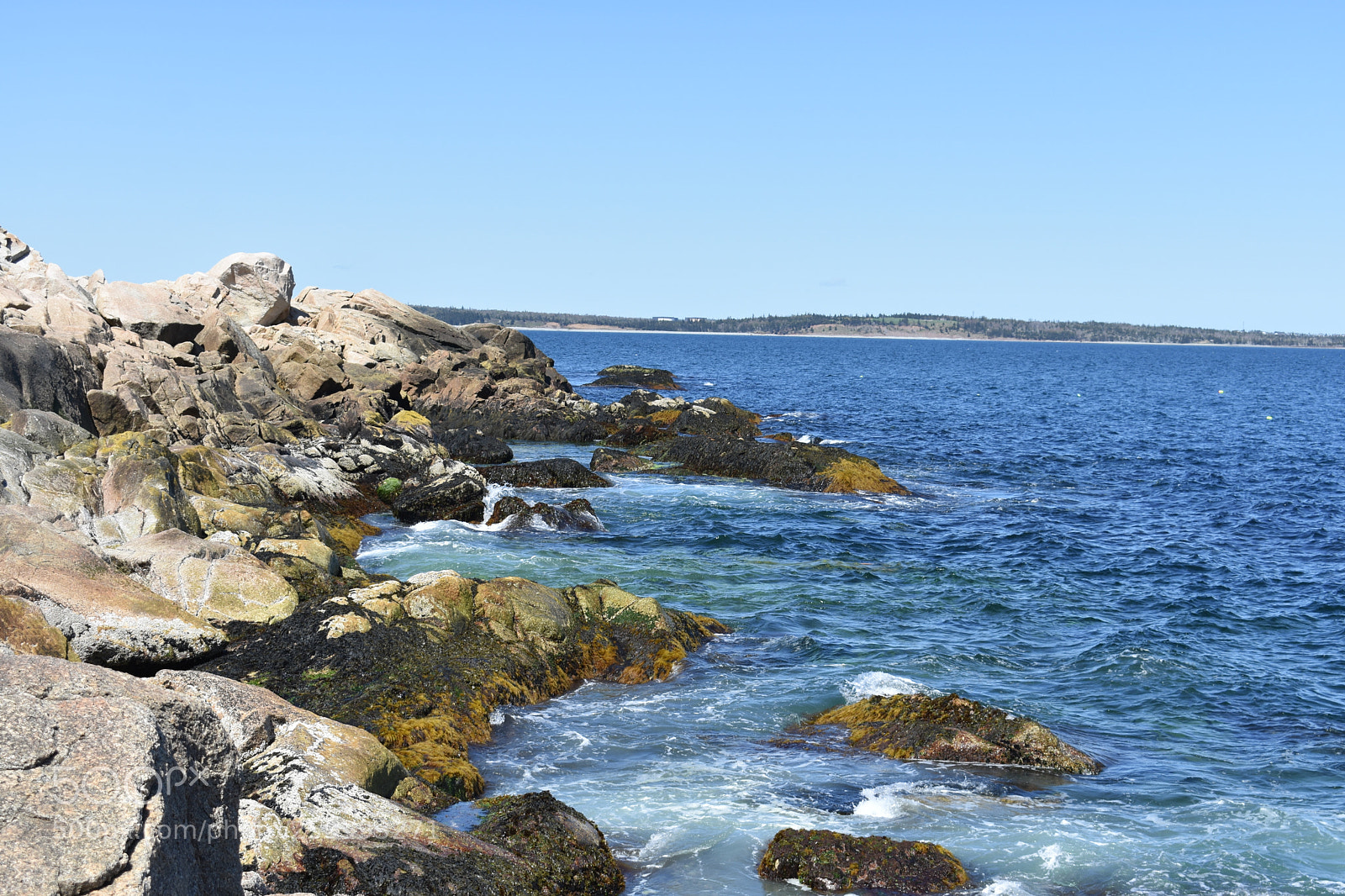 Nikon D3400 sample photo. 2018-05-27 15.28.27.jpg photography